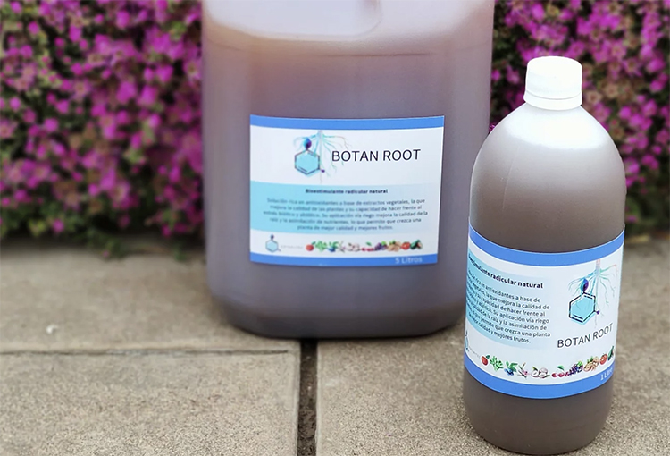 Desarrollan emprendimientos biotecnológicos a partir de bacterias antárticas