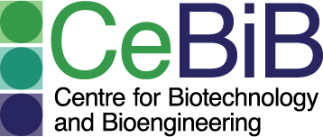 CeBiB