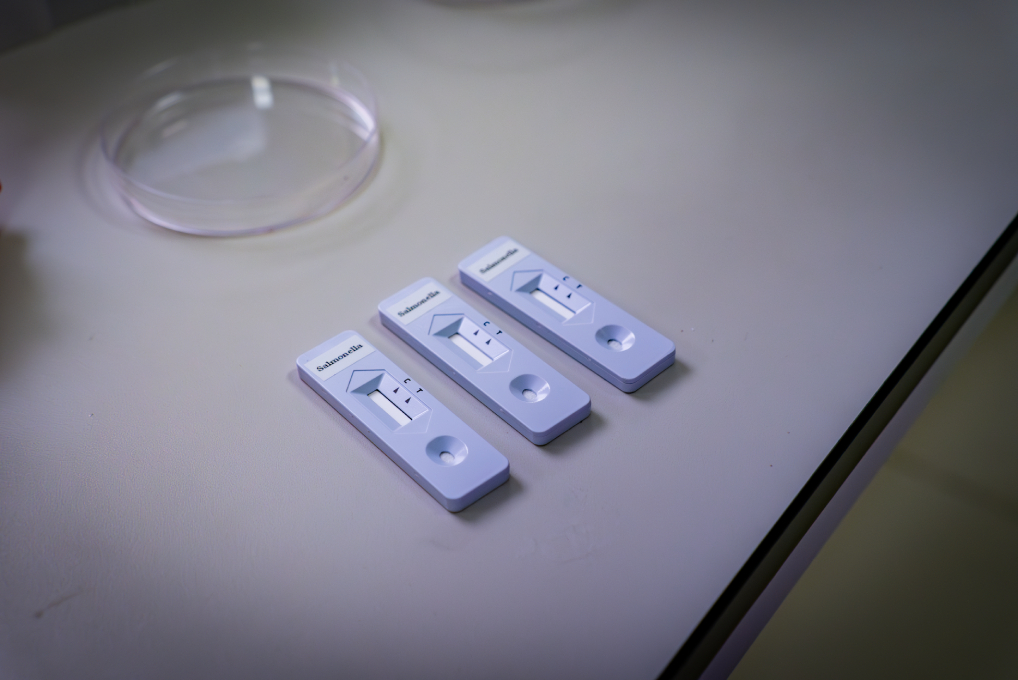 Comité de Bioseguridad